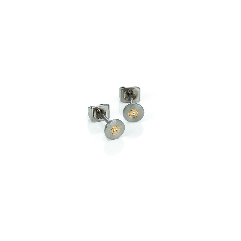Ohrstecker Titan teilweise vergoldet