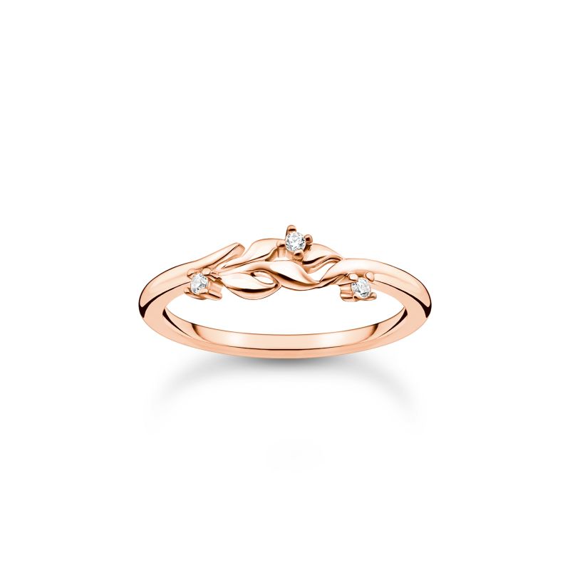 Ring Blätter 