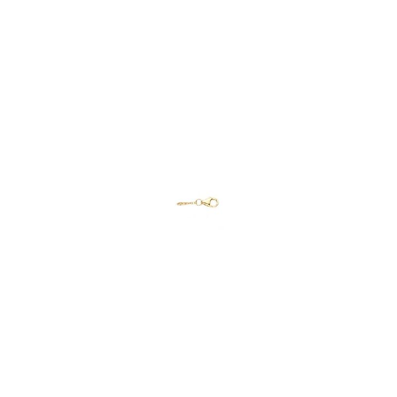 3cm Verlängerungskette 585er Gold