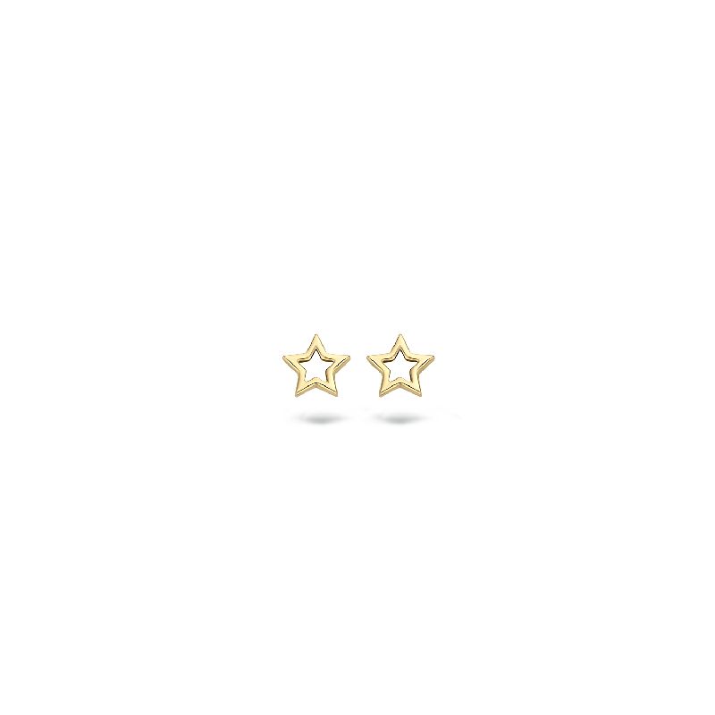 Sternohrstecker 585er Gold